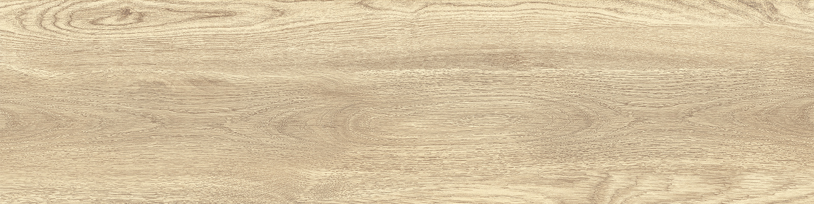 GP1560TAN01 Tanzania Crema матовый 151x602 New Trend