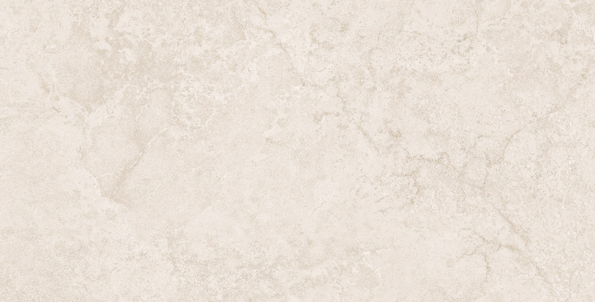 N40071 Stone Duomo Beige Matt Str 60x120 Neodom фото 4