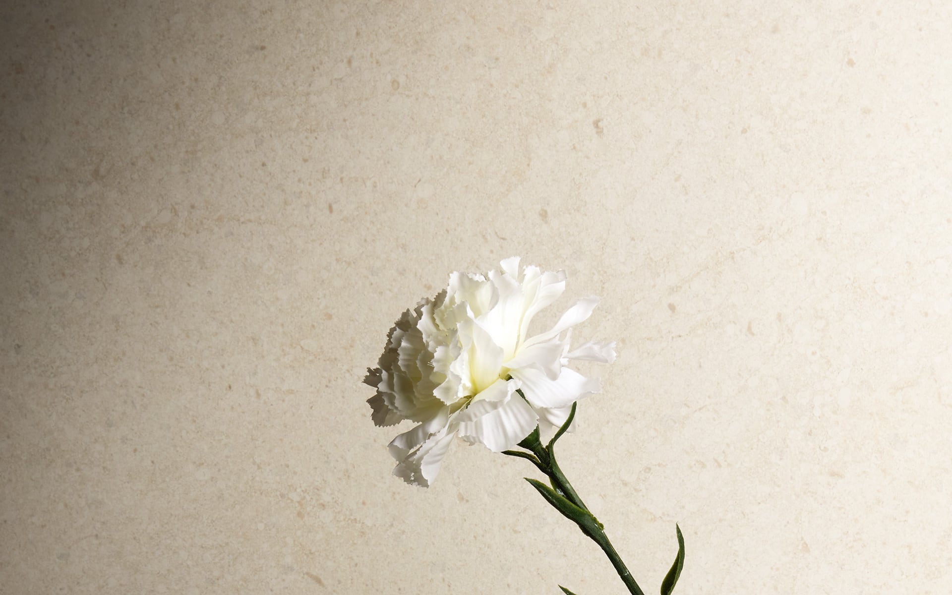 8929989 Victorian Stone Moon Cream Flamed 120x60 Iris Ceramica фото 30