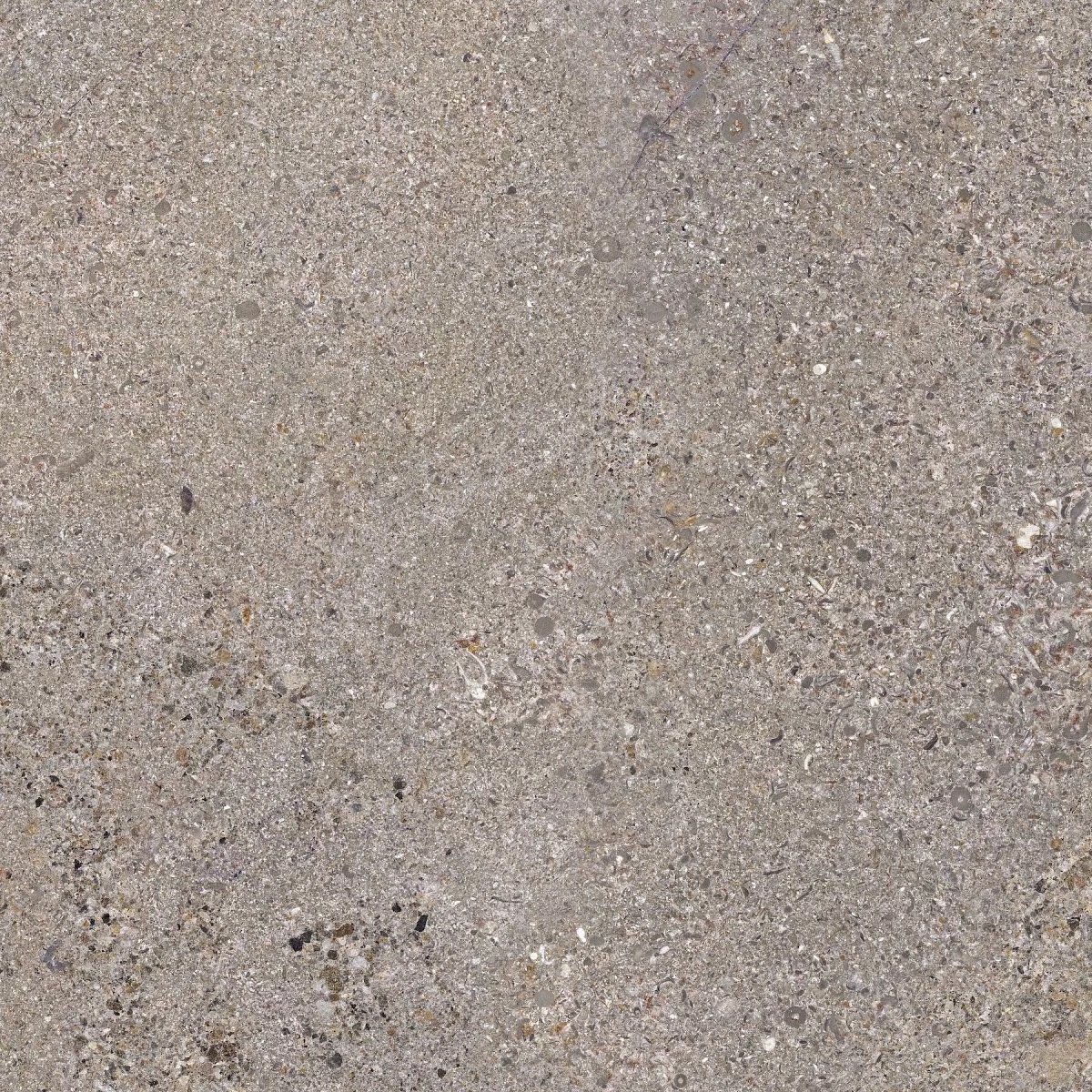 Terra Silver 60x60 Prime Ceramics