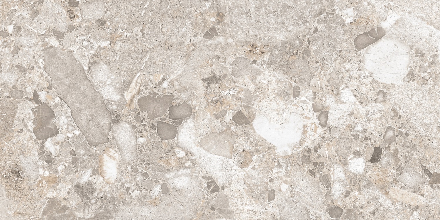 Venus Fossil Double Digital 60x120 Realistik