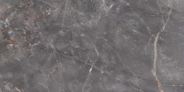 7170 Elite Grey Polished 60x120 Leopard