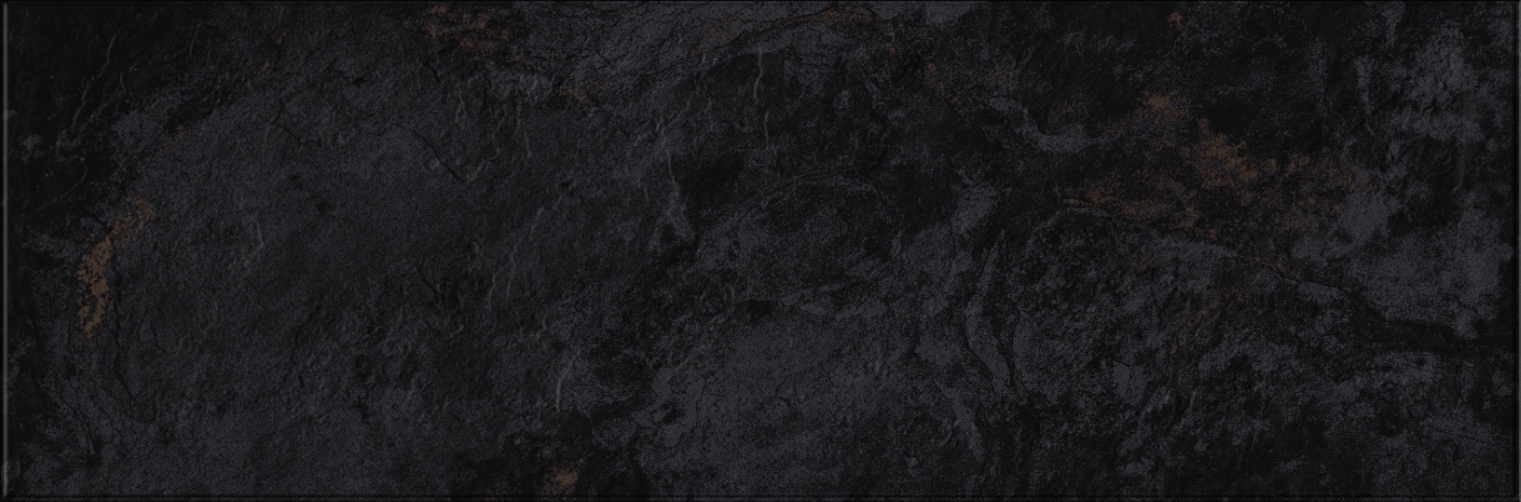618 Image Dark 32,5х100 Eurotile Ceramica