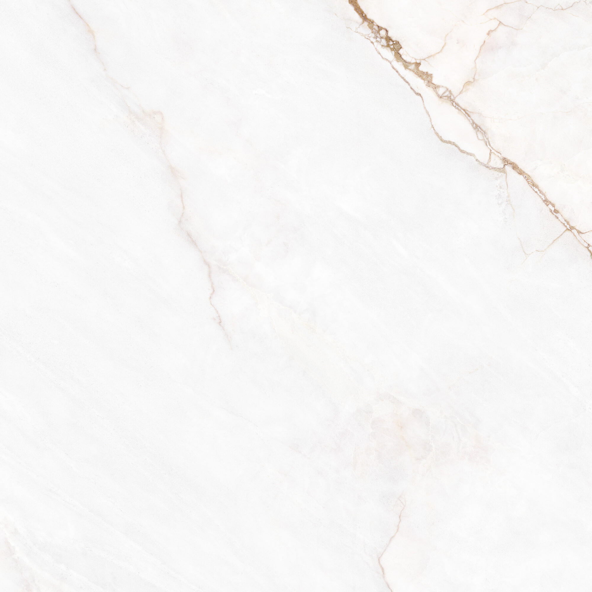41431 Dahlia White SP/100X100X0,8/R 100x100 Peronda фото 16