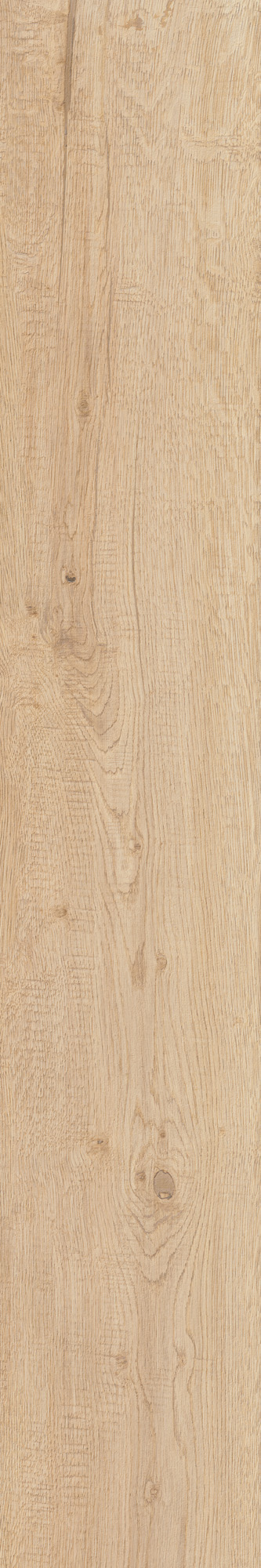 AHG9 Rever Anise Matt RT 20х120 Caesar