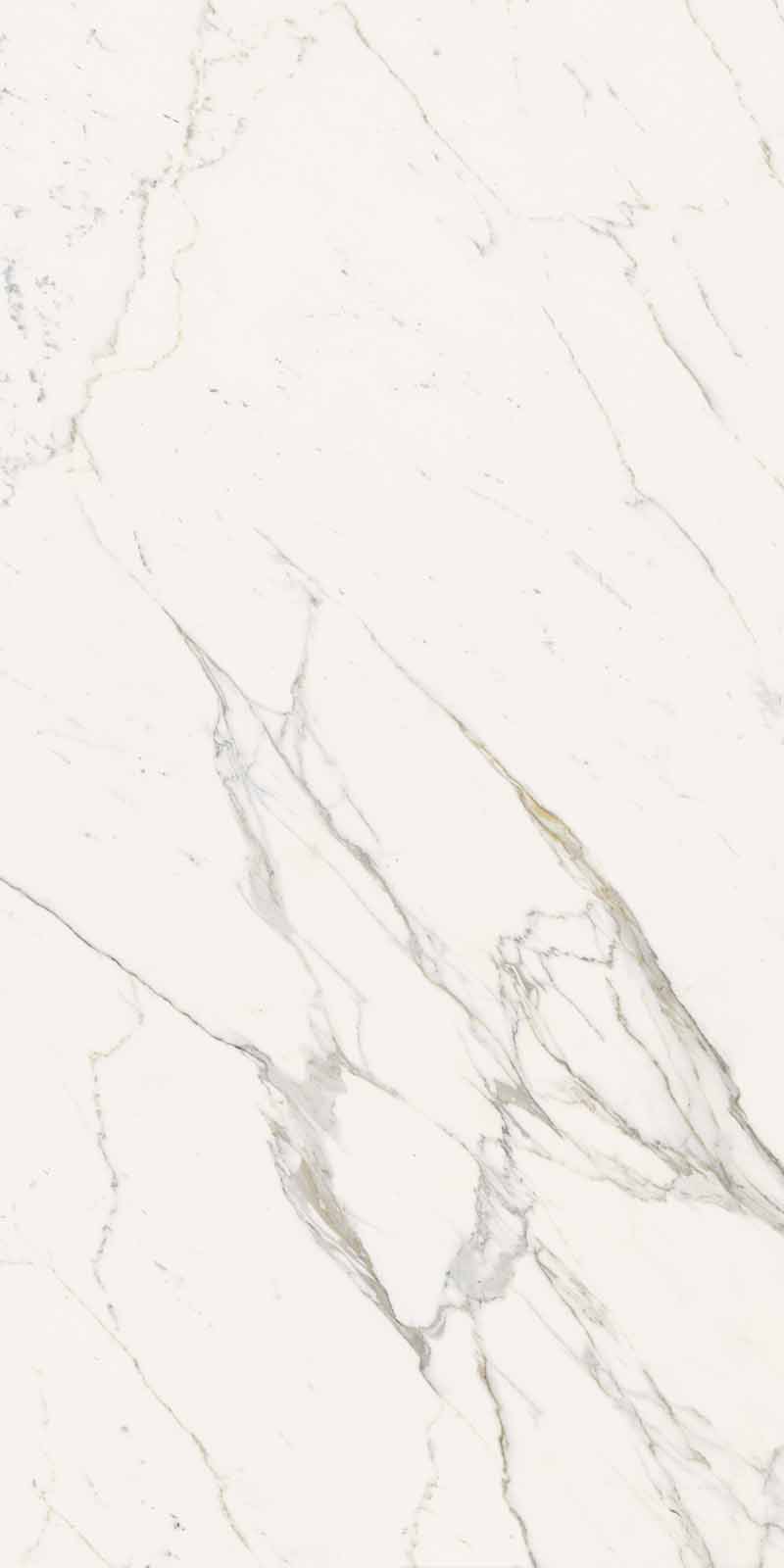 292A Calacatta Statuarietto Nat RT 60x120 Keope