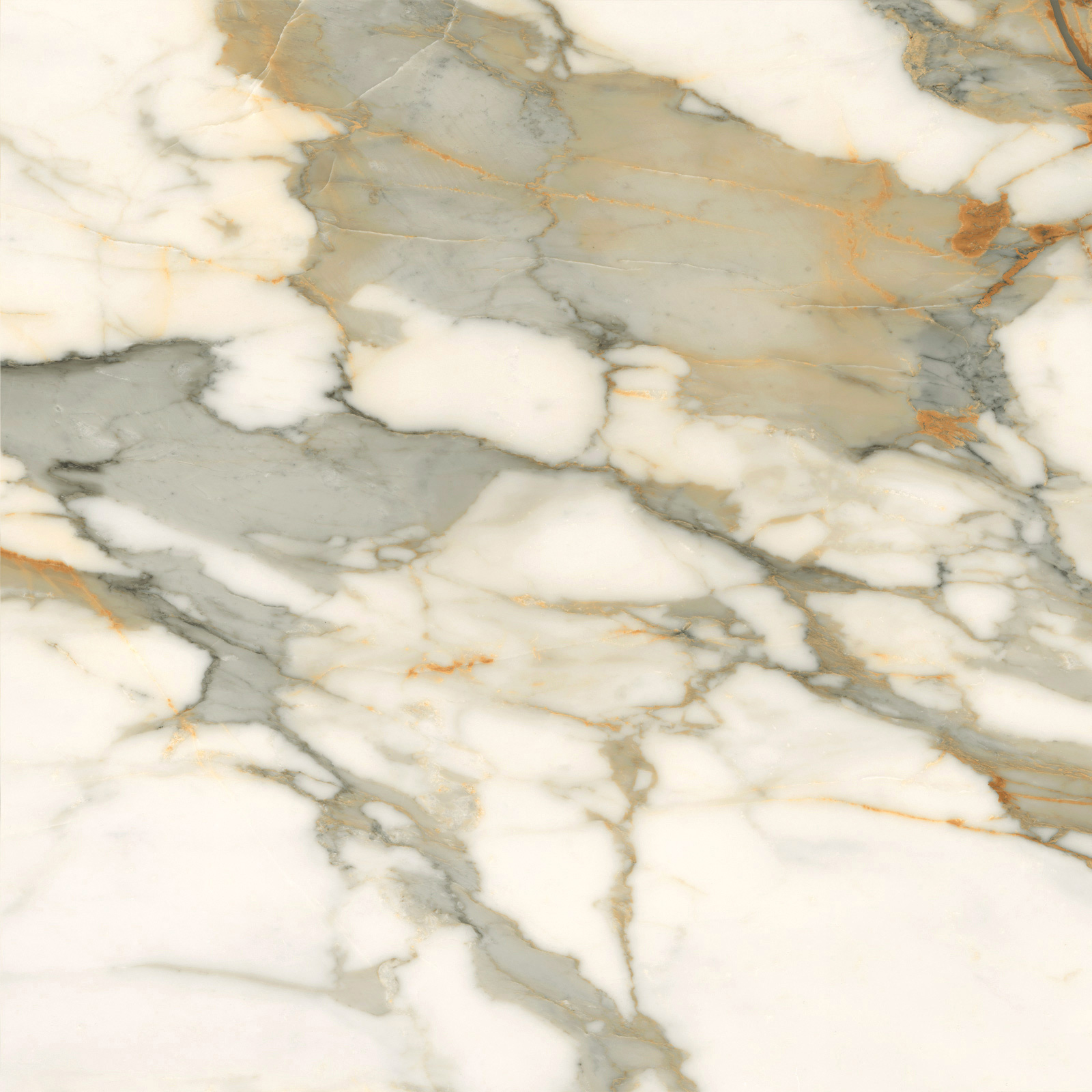 6060CBO55P Calacatta Borghini 60x60 LCM