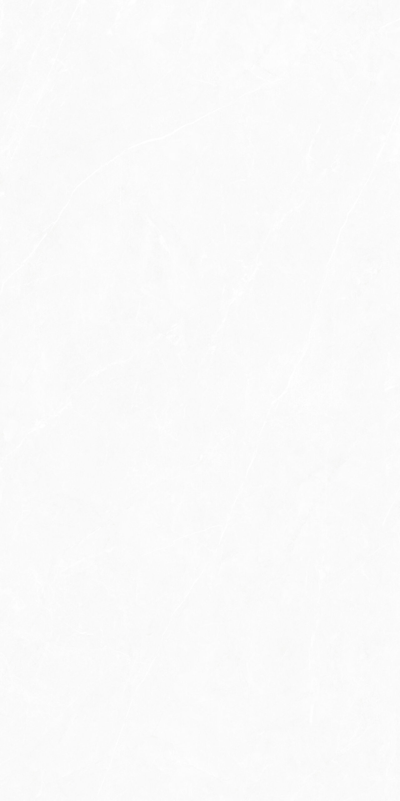 Prelino White Matt Punch 60x120 Maimoon Ceramica фото 2