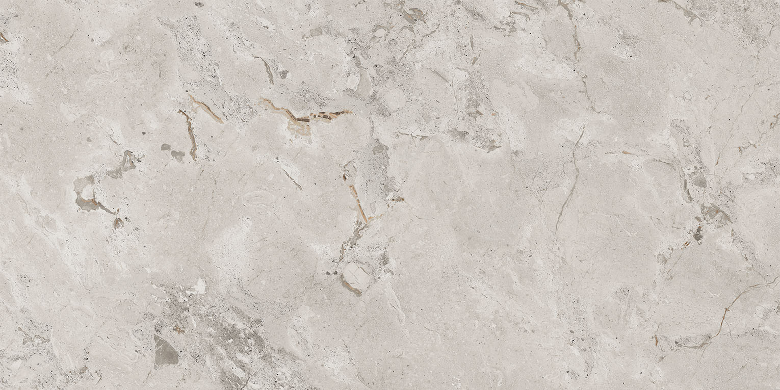 93453 Karnis Silver Matt 60x120 Cerdomus