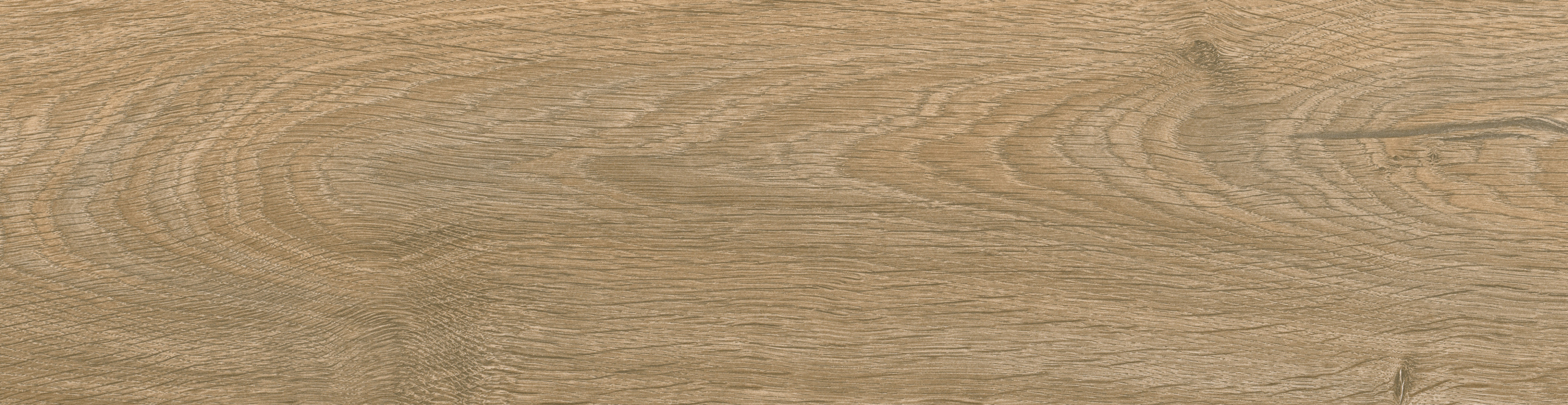Zar GP Natural 14,7x59,4 Eurotile Ceramica фото 10