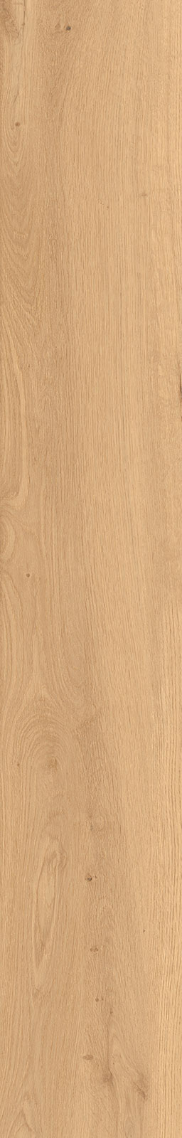 J94088 Oku Contemporary Blonde 24x150 RHS (Rondine) Ceramiche