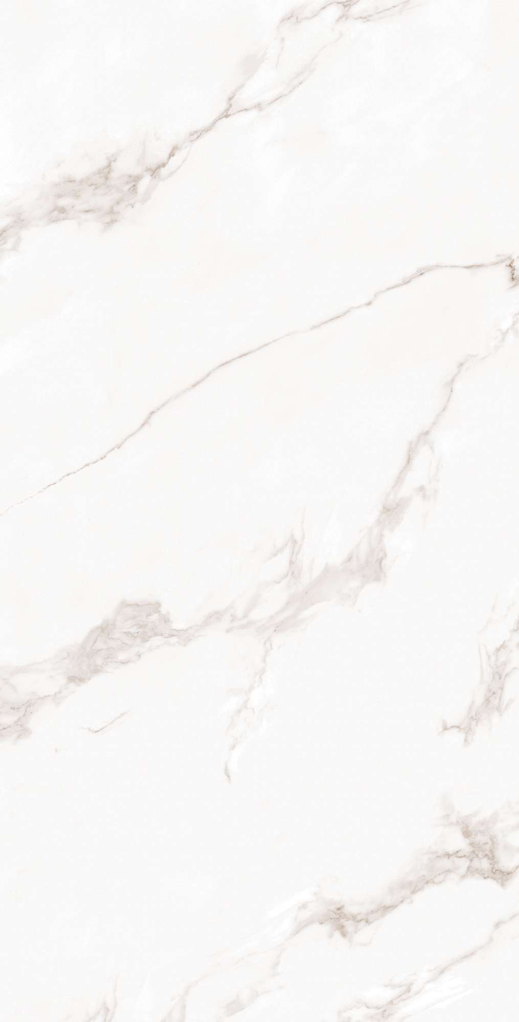 FP1019-A Calacatta Bianco Full Polished 60x120 Arcadia Ceramica