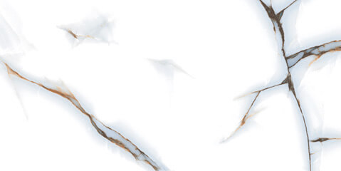 P76295 Barcelon Polished 60x120 Pardis Ceramic Pazh
