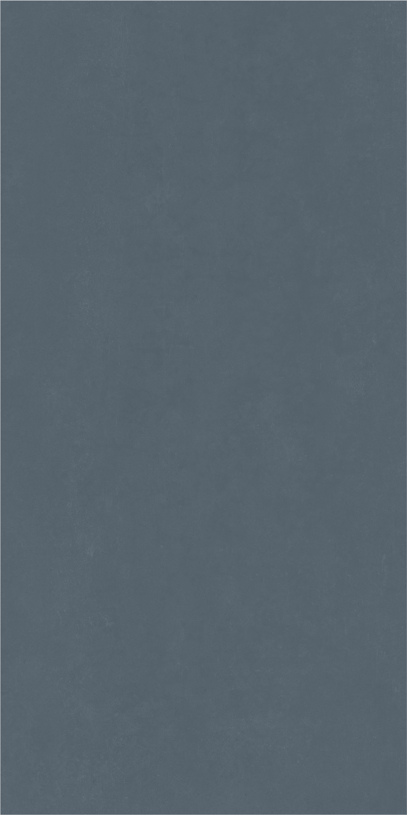 600010002375 Surface Winter Blue Ret 80x160 Italon фото 2