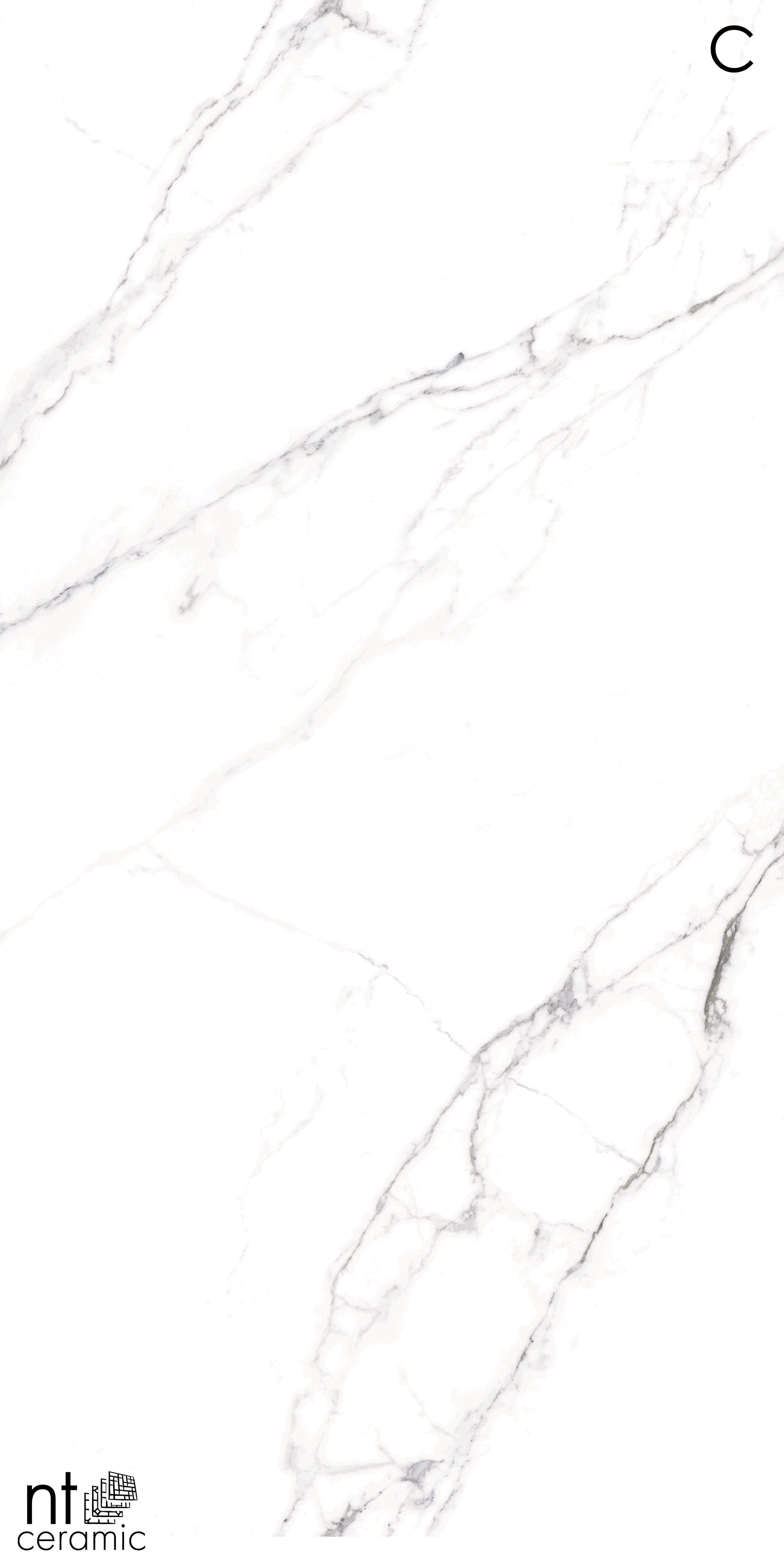 NTT3506L Calacatta Light 120x270 NT Ceramic