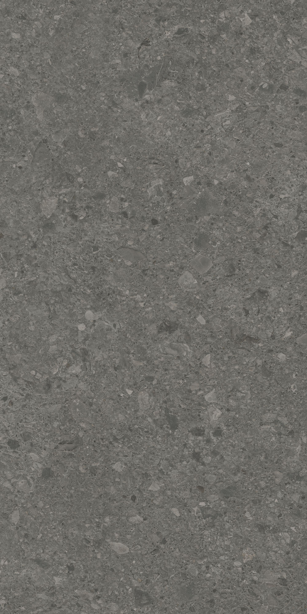 DD591600R Чеппо ди Гре антрацит матовый обрезной 119,5x238,5x1,1 Kerama Marazzi