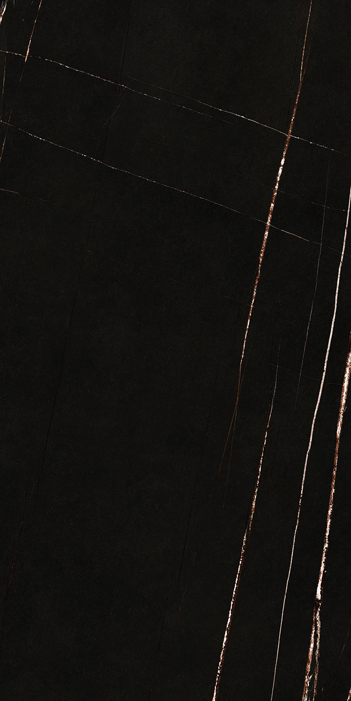 752799 Stone Sahara Noir Glossy 60x120 Casa Dolce Casa