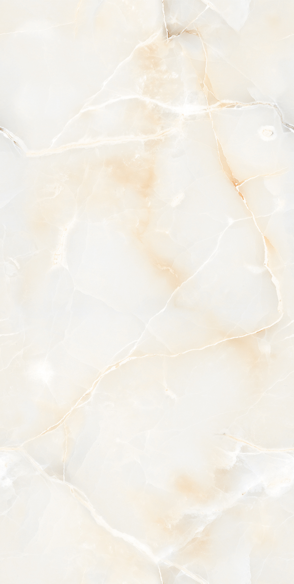 Infinity Bell Onyx Natural Glossy 60x120 Varmora Granito