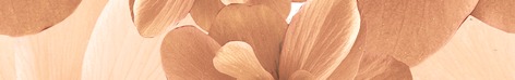 Pastel Бордюр B300-3D124 30х4,5 Дельта Керамика