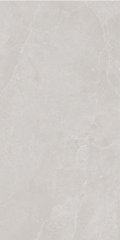 199022 Noble Stone Grey 3D Satin Ret 60х120 Ava Ceramica