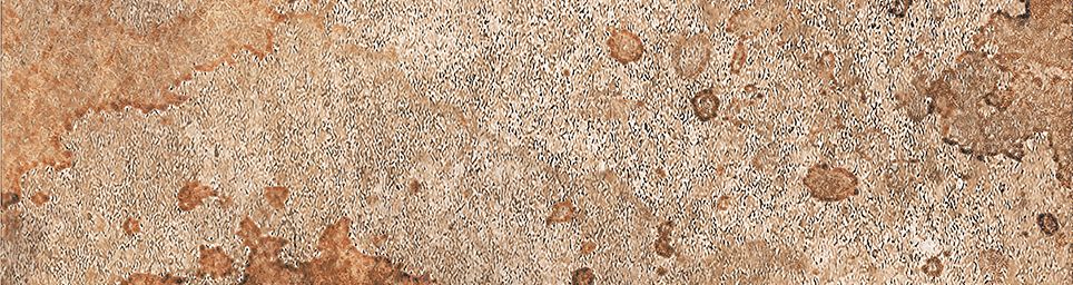 Айдахо 4 коричневый 245x65 Керамин фото 3