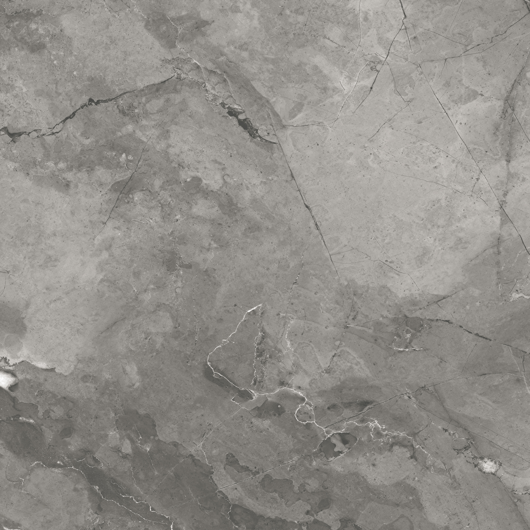 CR6020-A Bismanto Grey Carving 60x60 Arcadia Ceramica фото 12