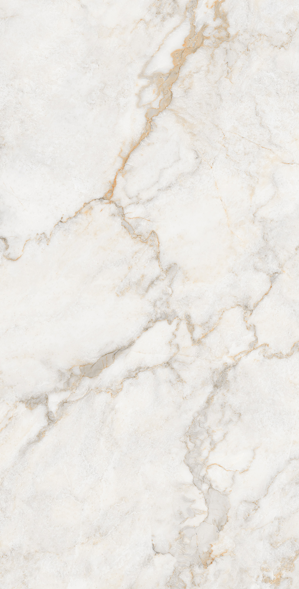 CP4002-A Pratonix Beige Carving Pro 60x120 Arcadia Ceramica