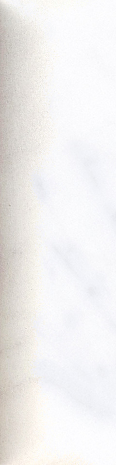 4101074 Italic Dune Carrara 5x20 41ZERO42