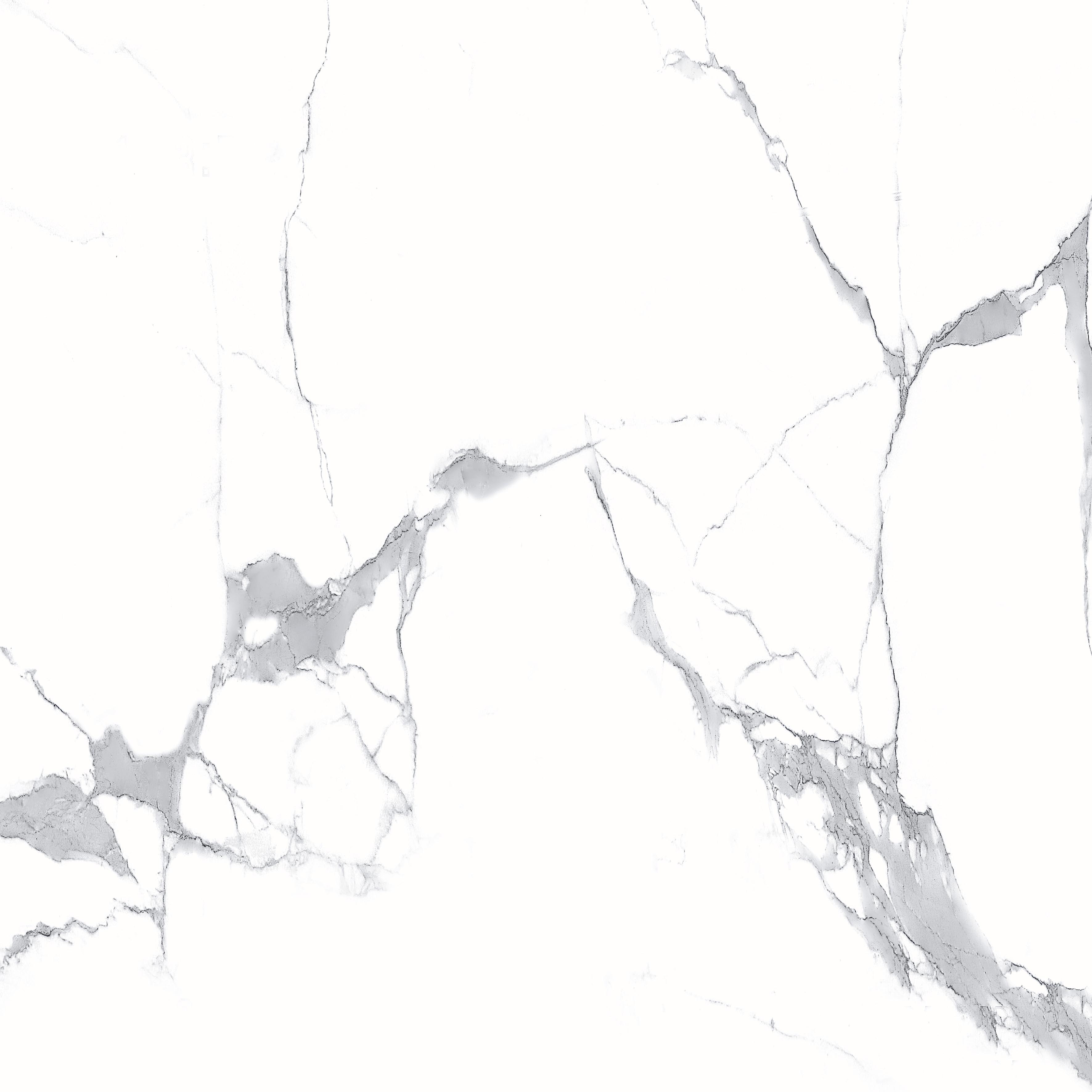 Megnus Statuario Glossy 60x60 Modern Tile