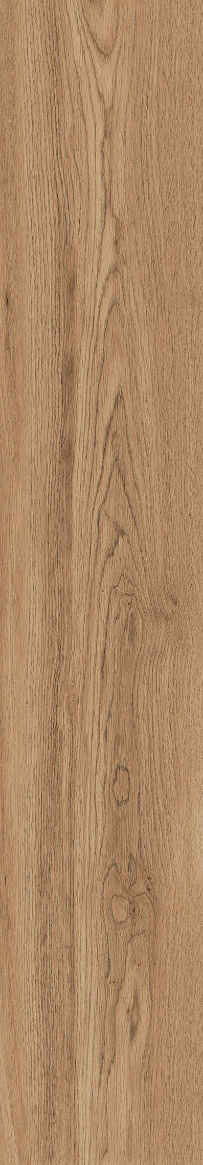 1106 Modena Brown Mate 120x20 Artcer