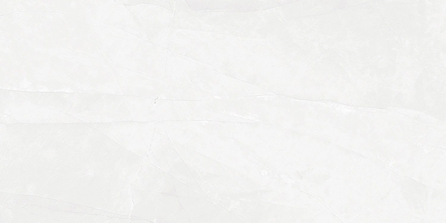 Elbert Blanco Matt 60x120 Geotiles