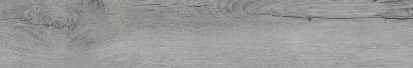 WFE19F42210A Forest Grey 20x120 BELLEZA
