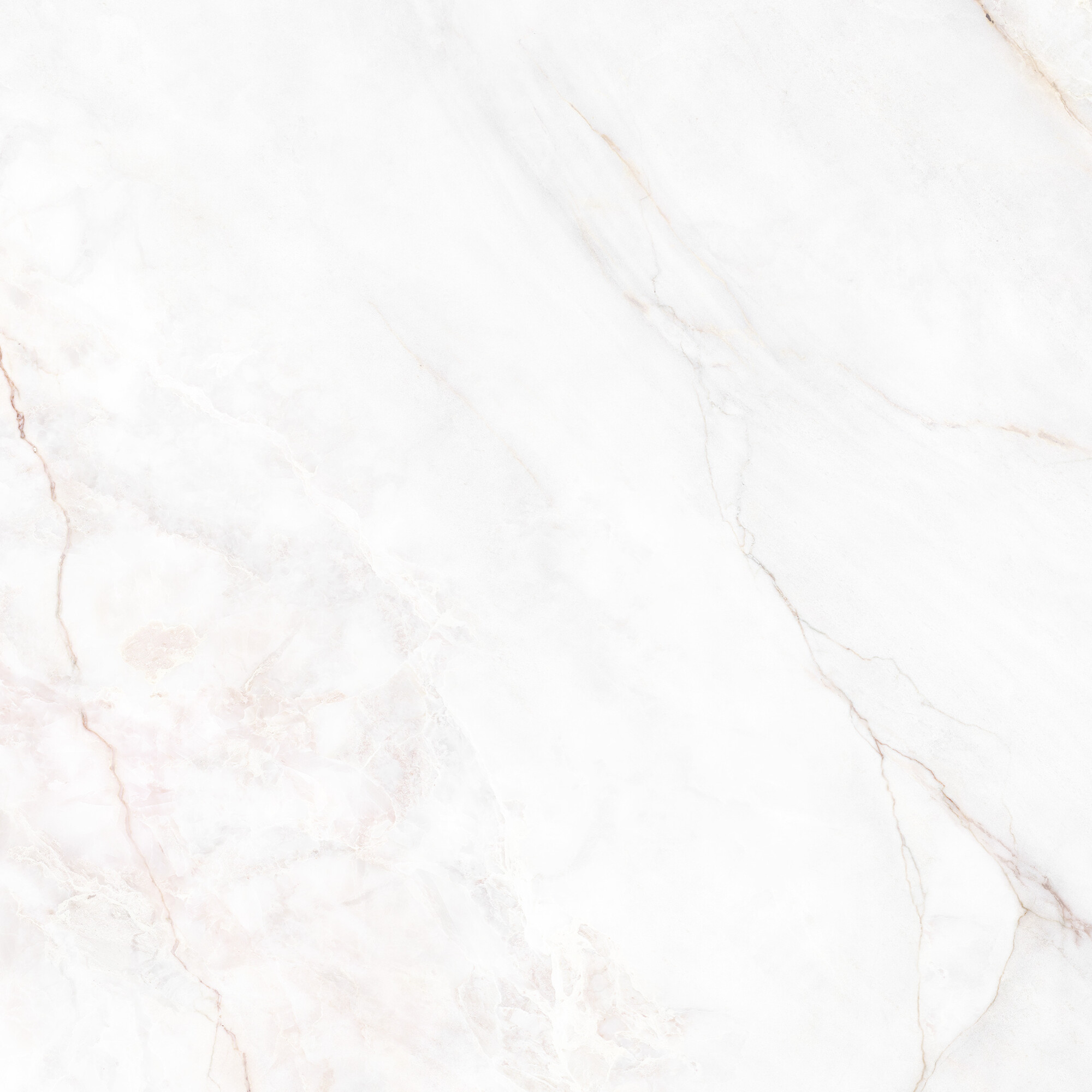 41431 Dahlia White SP/100X100X0,8/R 100x100 Peronda фото 18