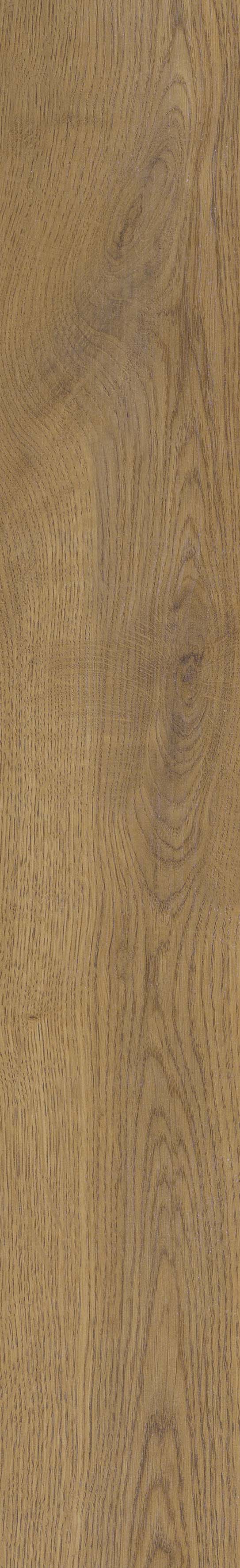 SGR51 Velaris Honey 9.2x60 Stargres фото 7