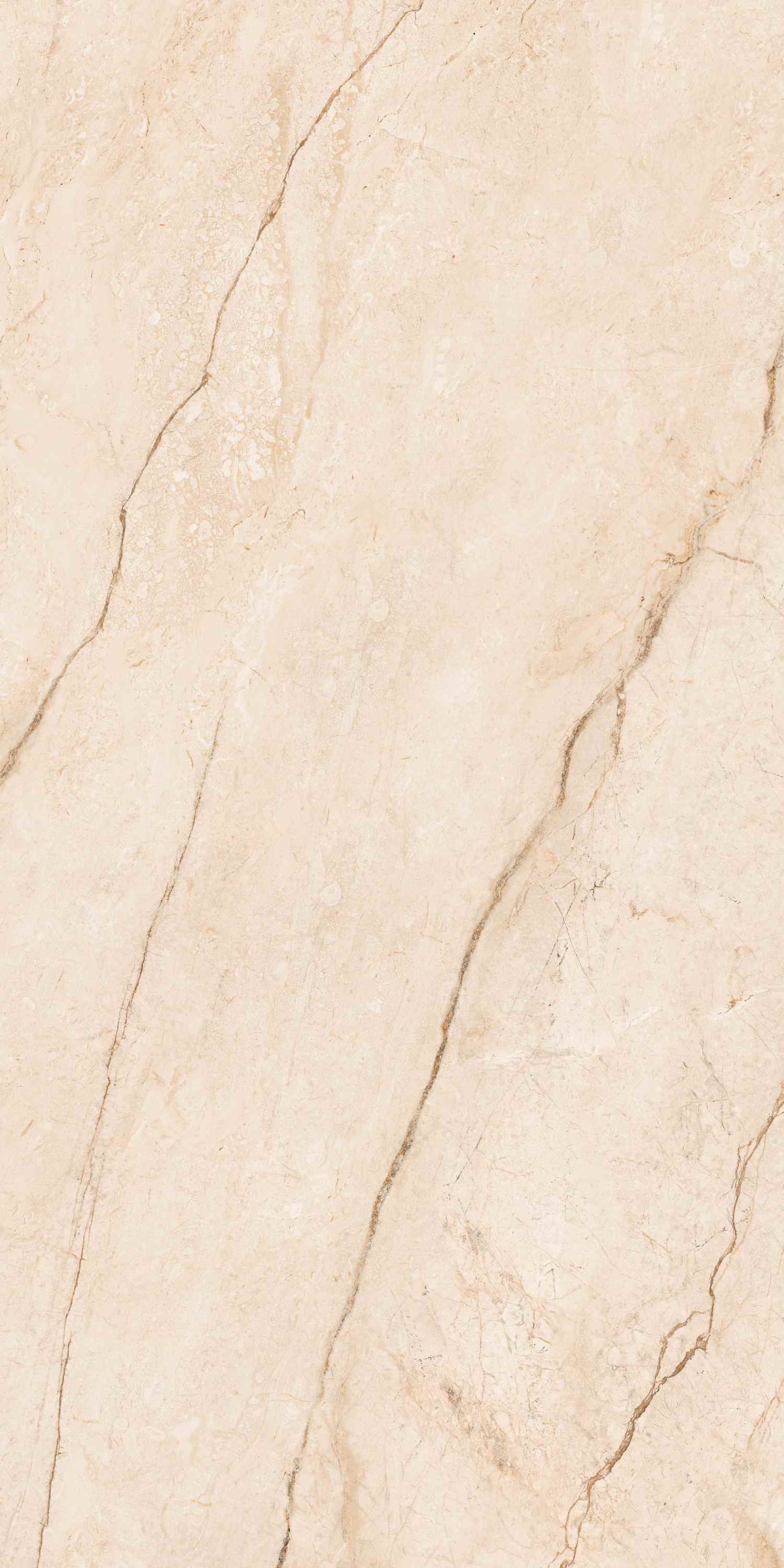 Clevado Beige Deck 60x120 BELLEZA фото 2