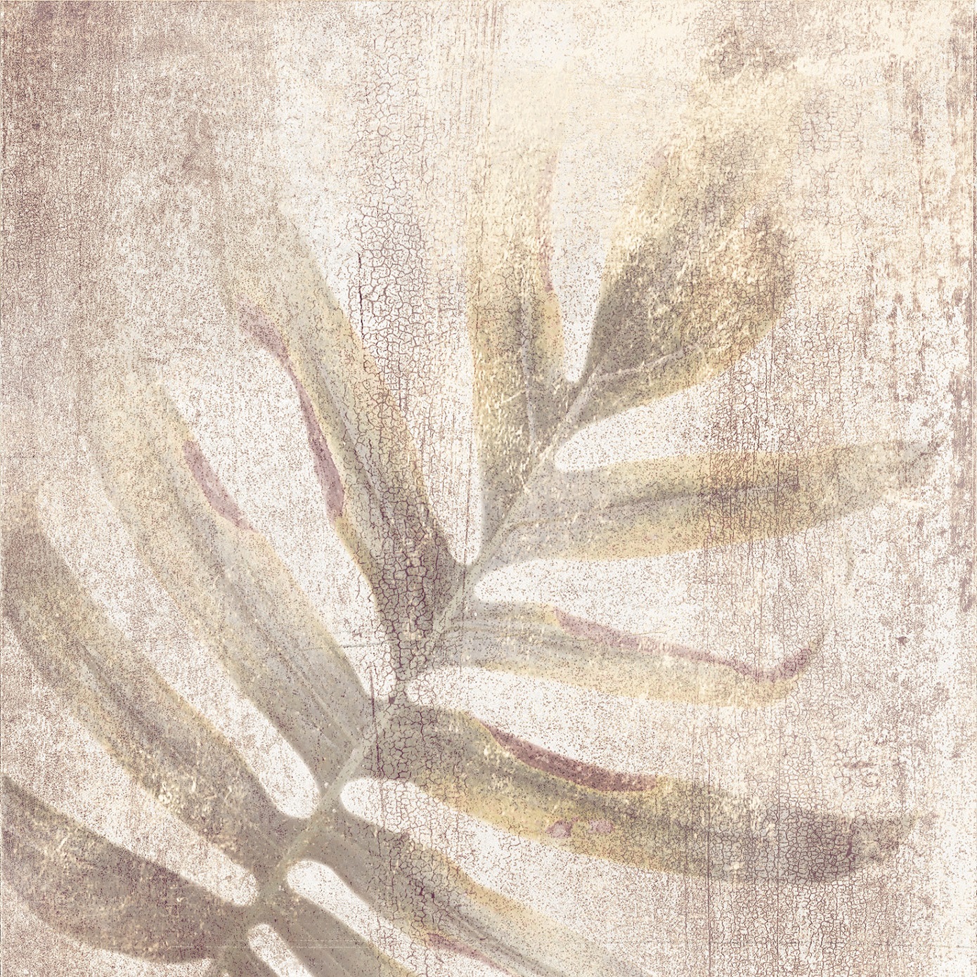 DECOR BOREAL TAUPE mix 20*20 Ibero