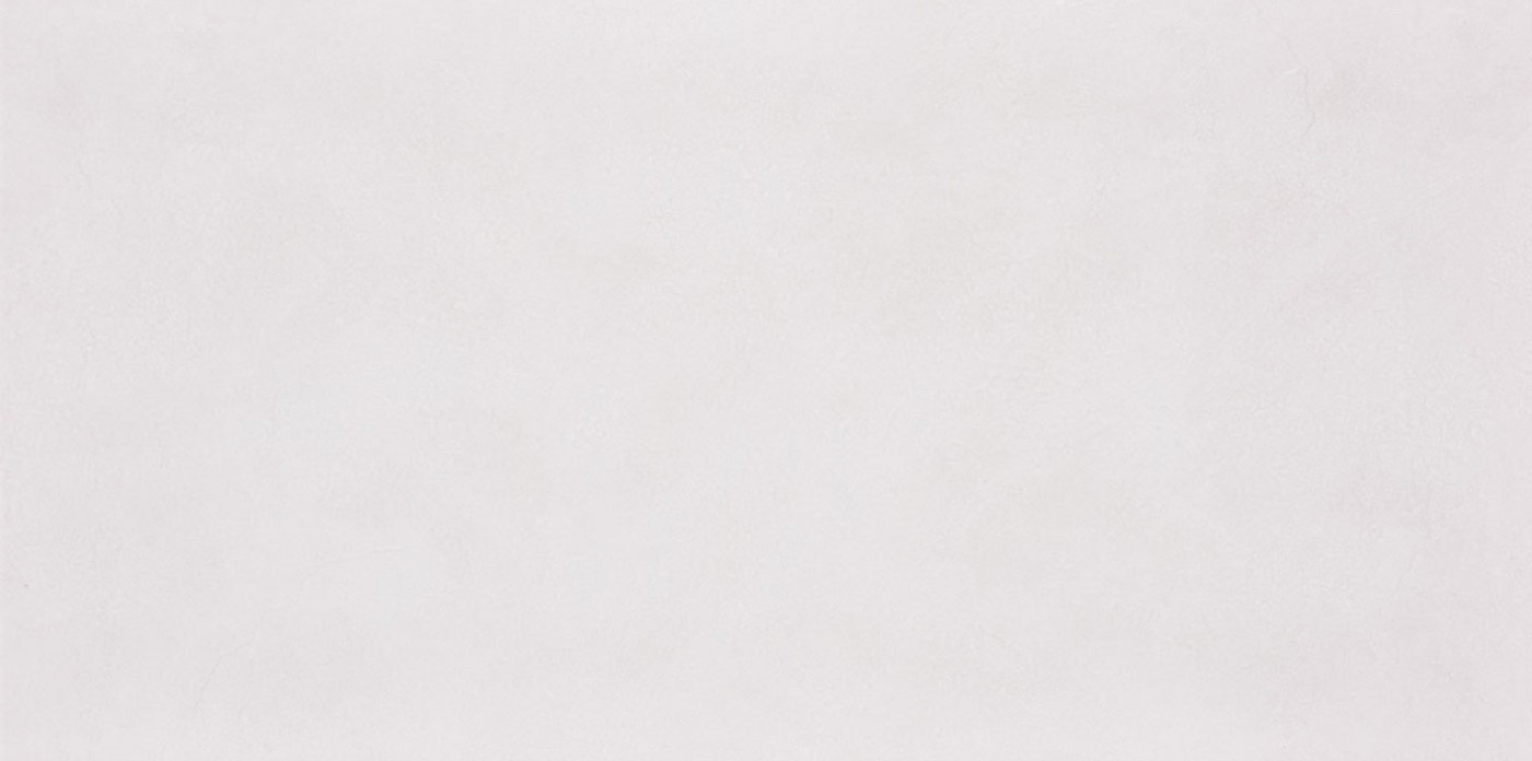 Stone Art Slate White Relief 60x120 Seranit