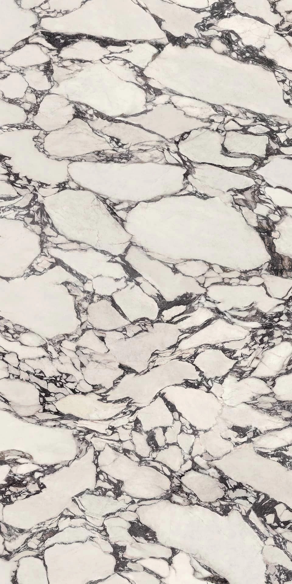 HCLZ Calacatta Viola Polished 6mm 160x320 Atlas Concorde фото 3
