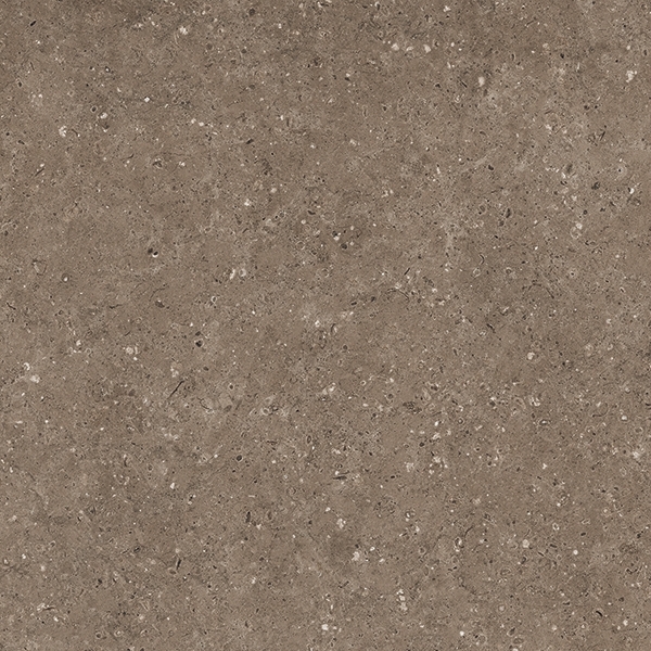 G214МR Arkaim Brown 60x60 Гранитея
