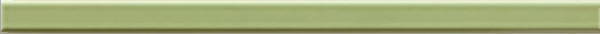 WLRMG043 VANITY green 2x40 RAKO