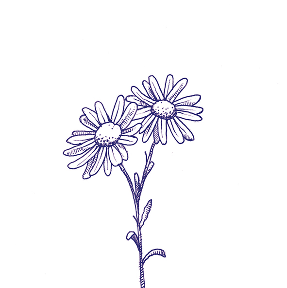 4101303 Stories Eddie Matte 10x10 41ZERO42 фото 31