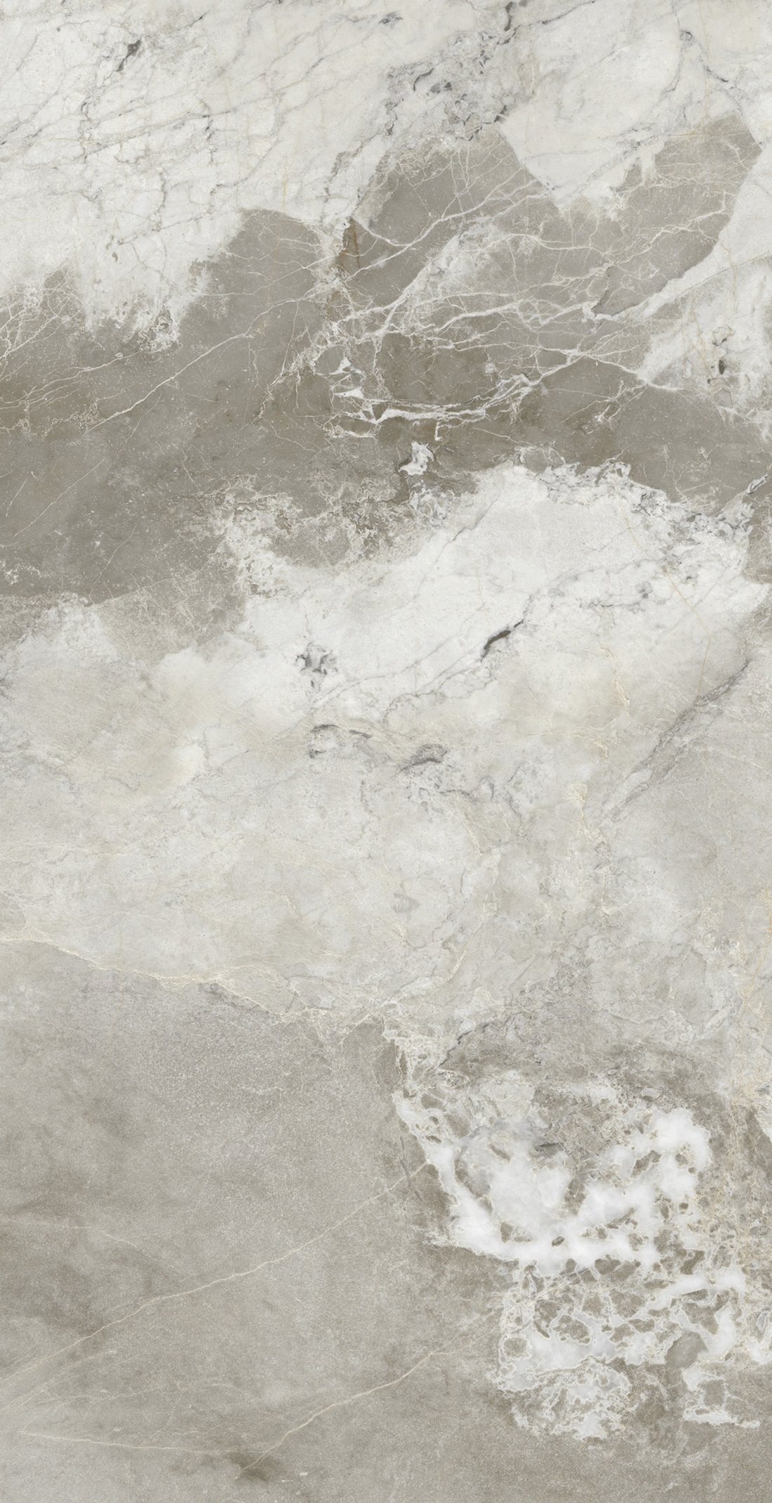 Manila Polished Golden Carving 60x120 Realistik фото 2