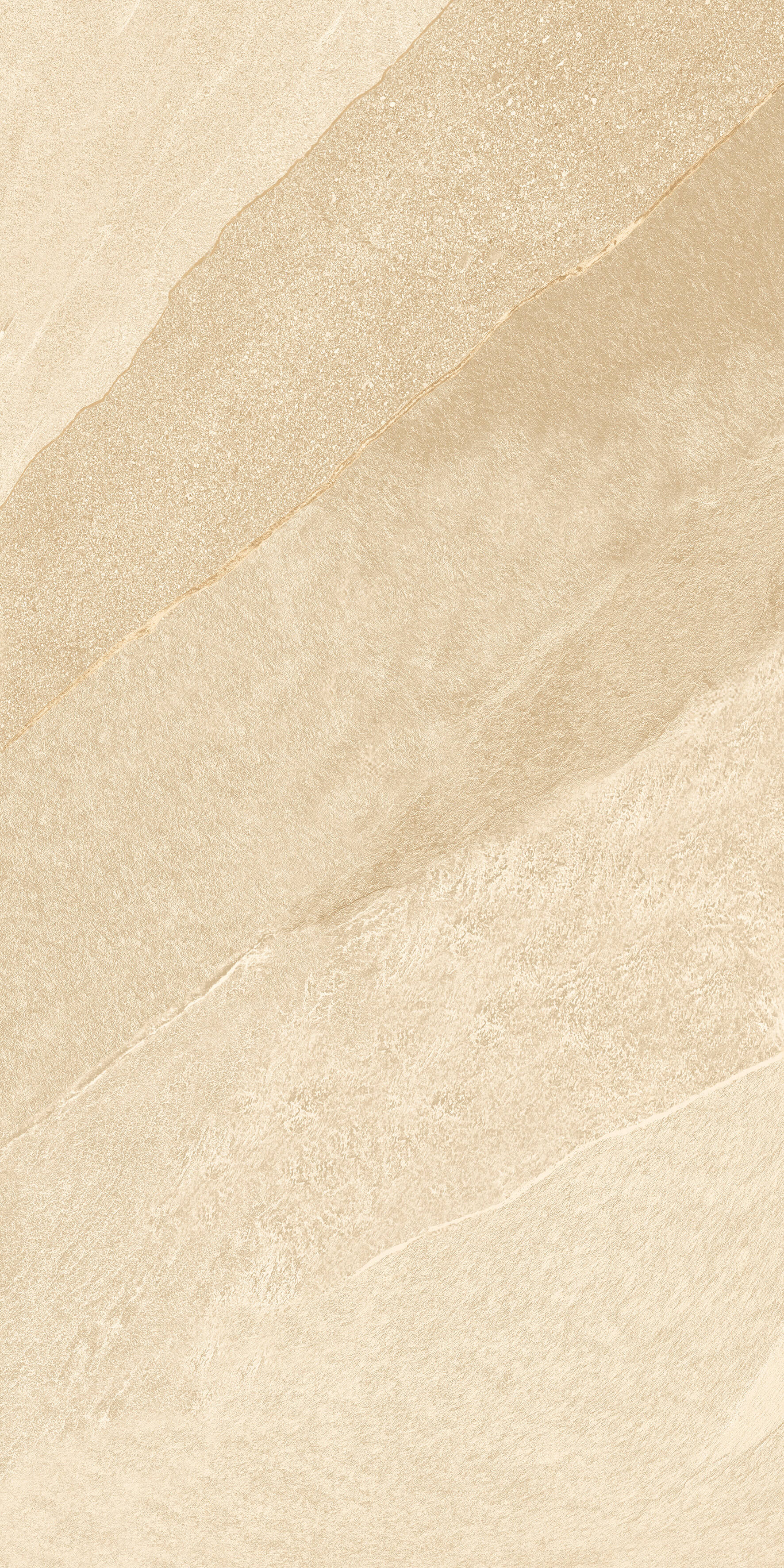 1209 Calcare Ivory Matt 120x60 Artcer фото 8
