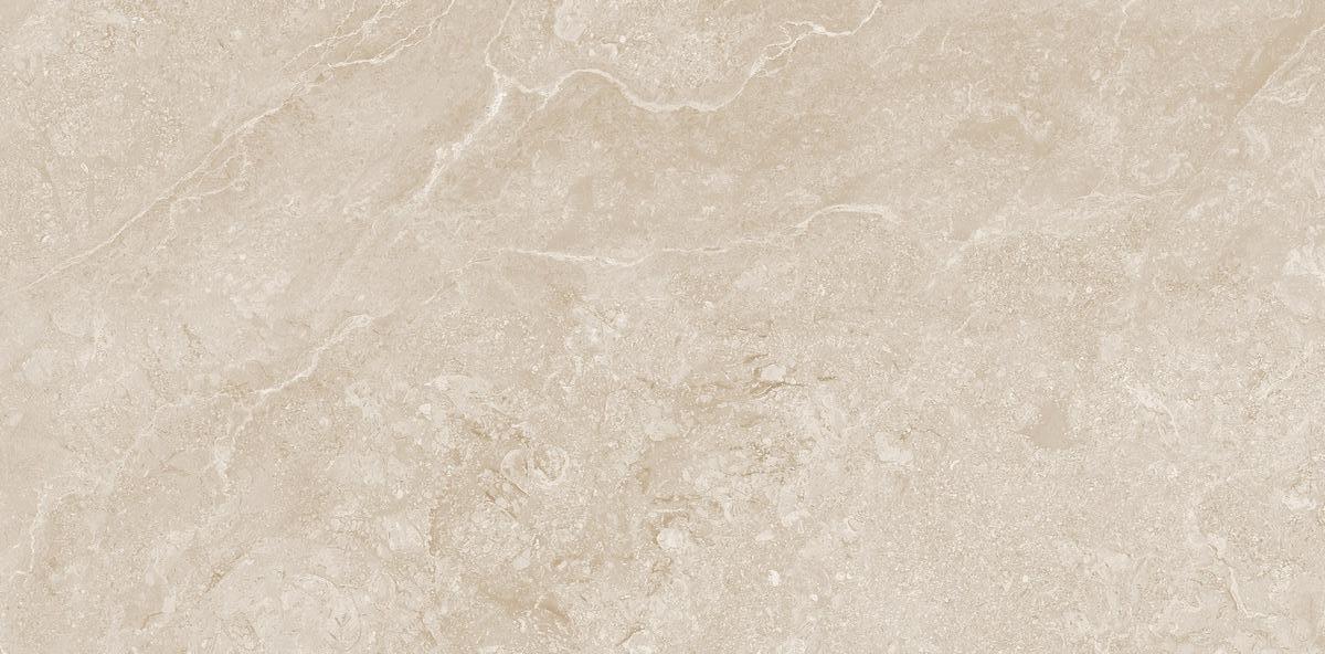 N20761 Etna Bone Carving Str 60x120 Neodom фото 5