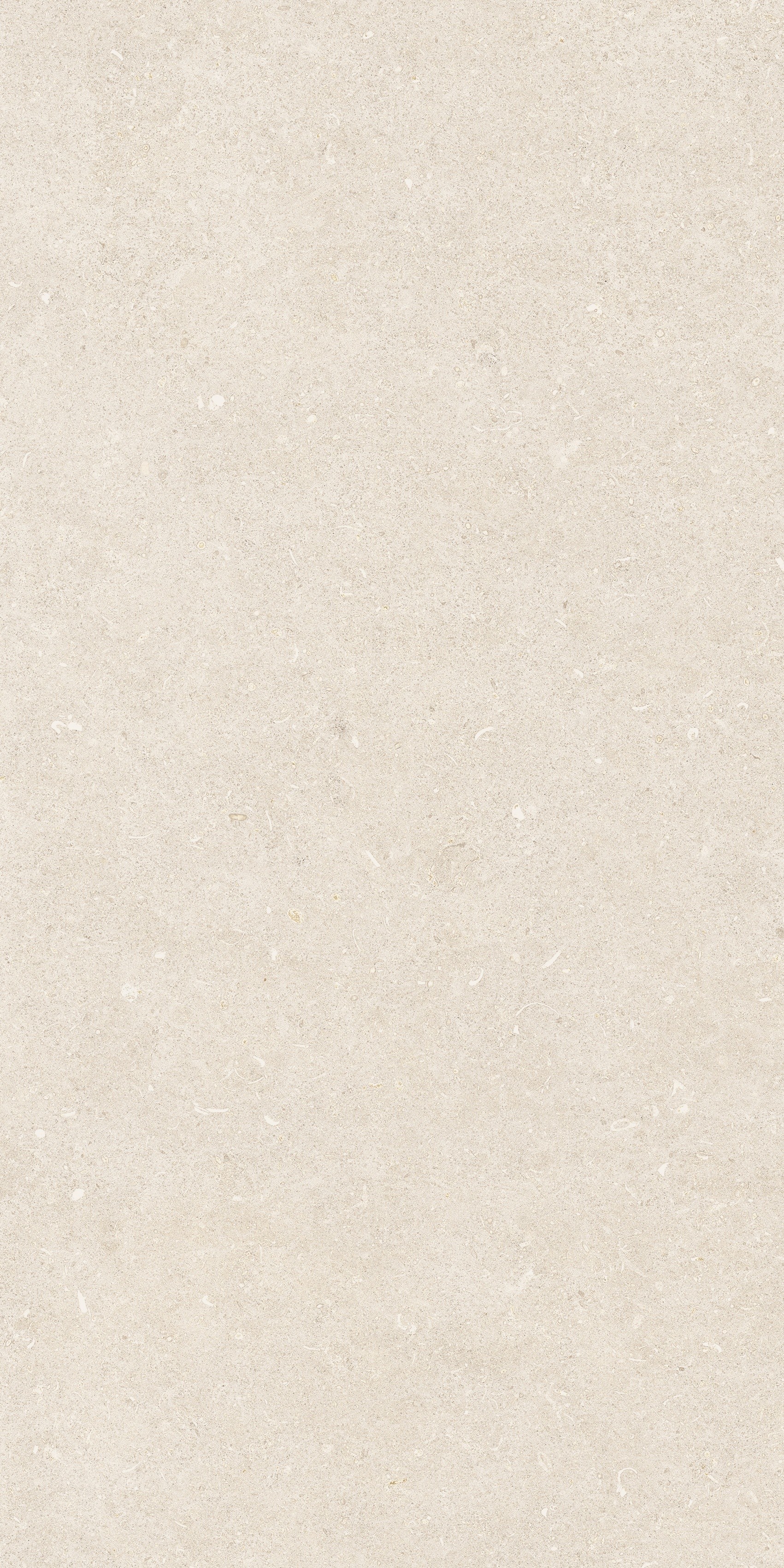 785480 Rinascenza Arena Bianco Antico Matte 60x120 Casa Dolce Casa фото 7