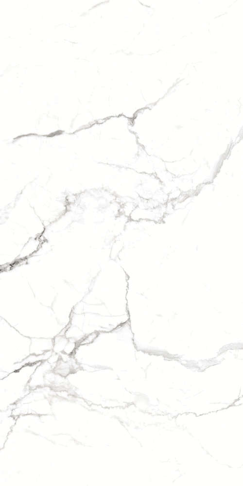 Regal Carrara White 80x160 SotGres