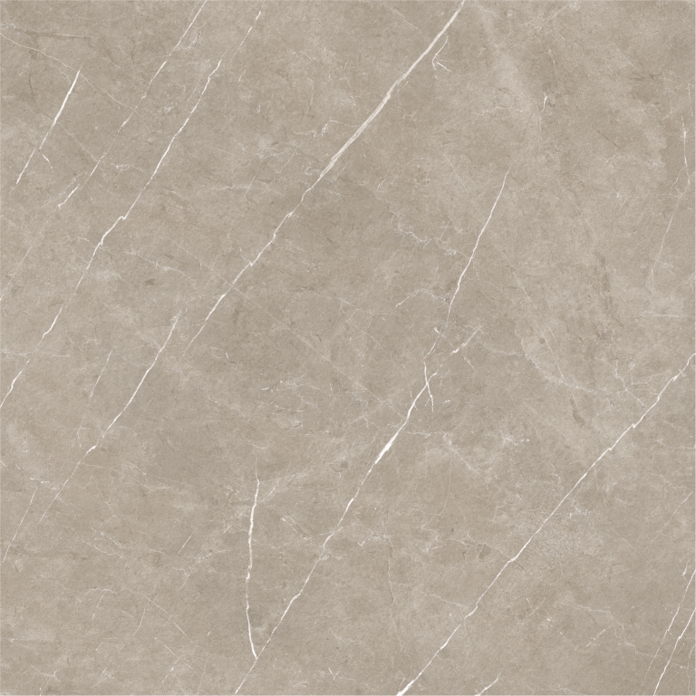 Eternal Taupe Natural 120x120 Baldocer