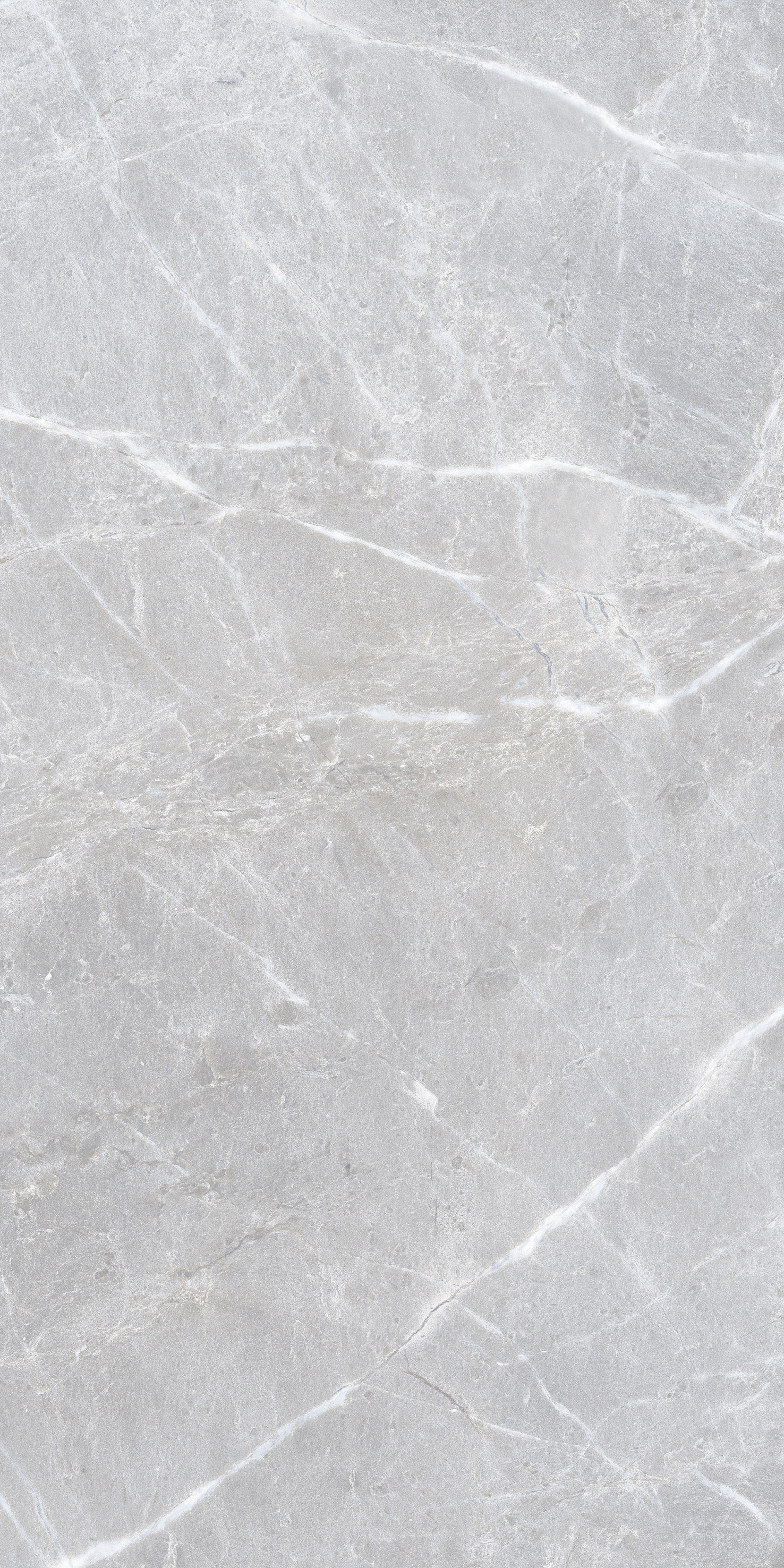 SI1003-A Cassero Bianco Sugar Ink 60x120 Creanza фото 4