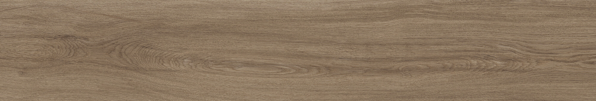 41729 Bloom Cognac SP/24x151x0,9/R 24x151 Peronda