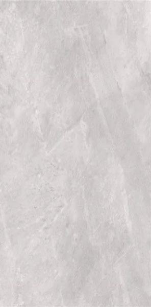 2614 Earth Light grey polish 60x120 Sina Tile